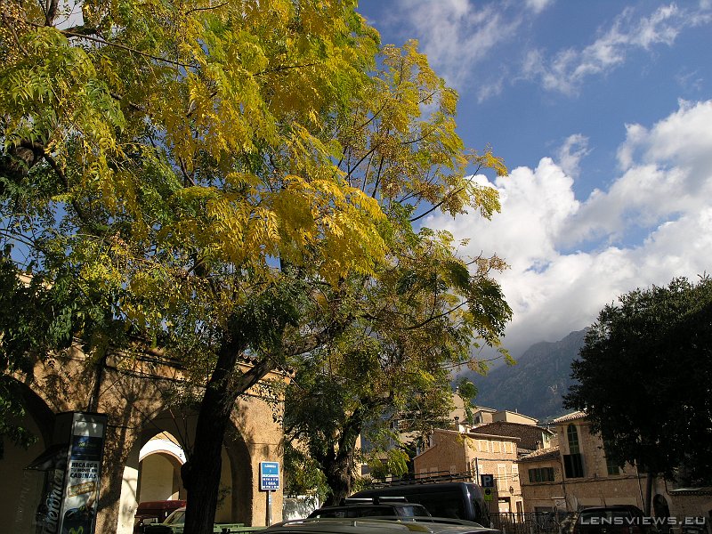 2006_11_20 12_11_08 OLYMPUS DIGITAL CAMERA         